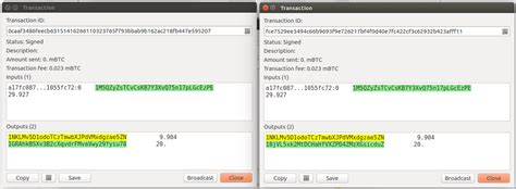 Ethereum: Understanding a Bitcoin Double Spending Transaction by Performing one on yourself
