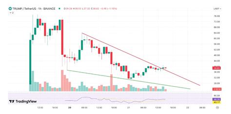 Volatility, Melania Meme (MELANIA), Risk Assessment
