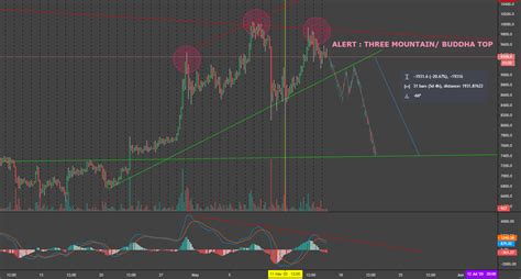 Smart Money, Bitfinex, Candlestick Chart
